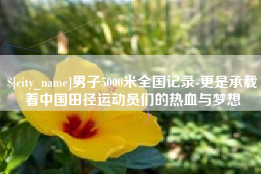 益阳男子5000米全国记录-更是承载着中国田径运动员们的热血与梦想