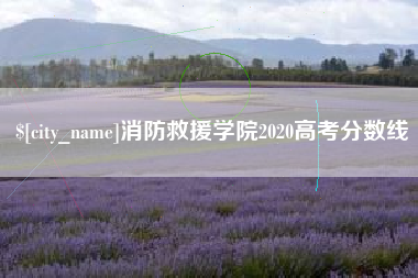 益阳消防救援学院2020高考分数线