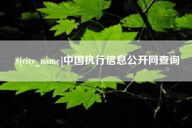 益阳中国执行信息公开网查询
