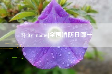 益阳全国消防日哪一
