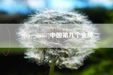 益阳中国第九个金牌