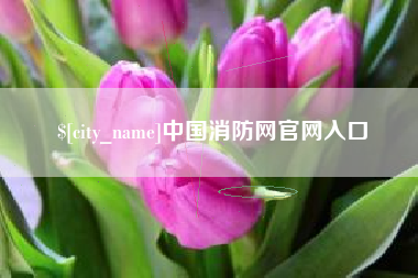 益阳中国消防网官网入口