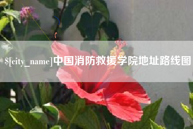 益阳中国消防救援学院地址路线图