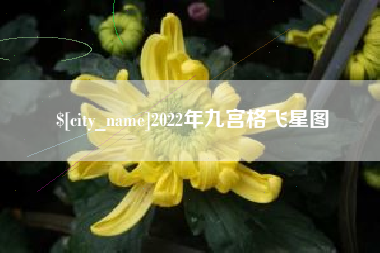 益阳2022年九宫格飞星图
