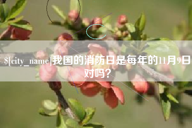 益阳我国的消防日是每年的11月9日对吗？