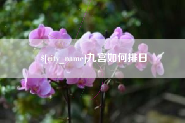 益阳九宫如何排日