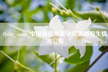 益阳中国消防救援学院湖南招生情况公布