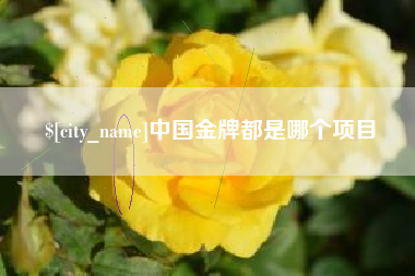 益阳中国金牌都是哪个项目
