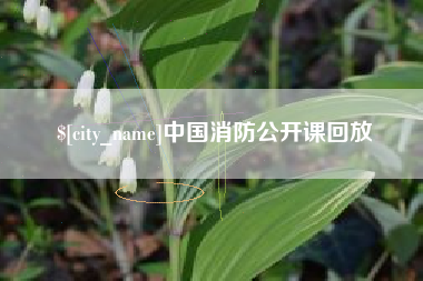 益阳中国消防公开课回放