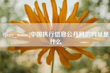 益阳中国执行信息公开网的网址是什么