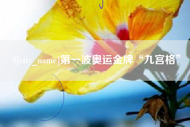 益阳第一波奥运金牌“九宫格”