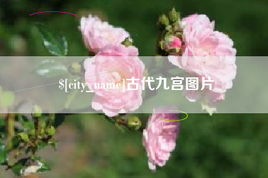益阳古代九宫图片