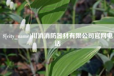 益阳川消消防器材有限公司官网电话