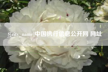 益阳中国执行信息公开网 网址
