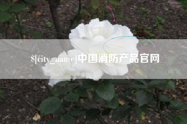 益阳中国消防产品官网