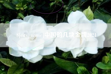 益阳中国的几块金牌2021
