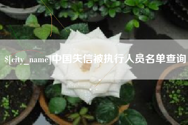 益阳中国失信被执行人员名单查询