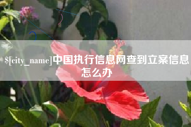 益阳中国执行信息网查到立案信息怎么办