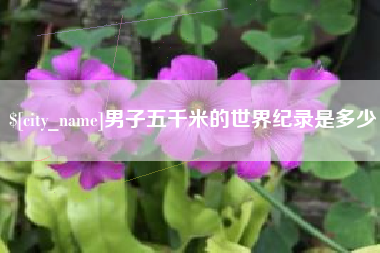 益阳男子五千米的世界纪录是多少