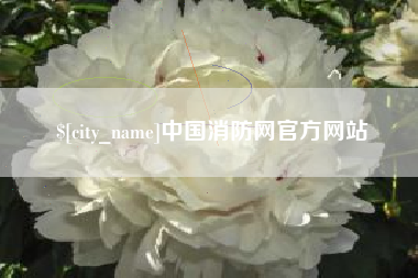 益阳中国消防网官方网站