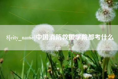 益阳中国消防救援学院都考什么