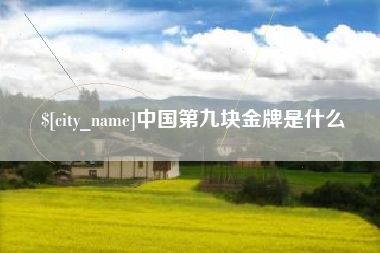 益阳中国第九块金牌是什么