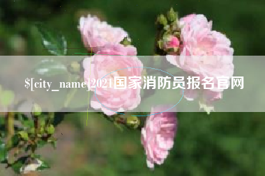 益阳2021国家消防员报名官网