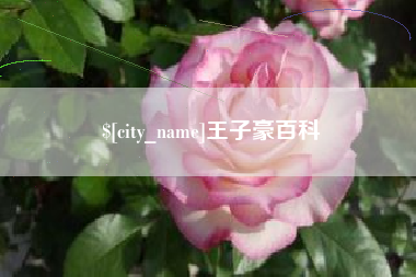 益阳王子豪百科
