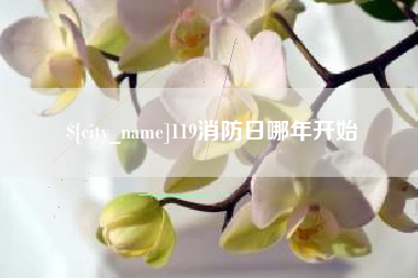 益阳119消防日哪年开始