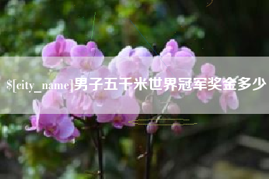 益阳男子五千米世界冠军奖金多少