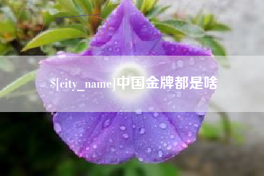 益阳中国金牌都是啥