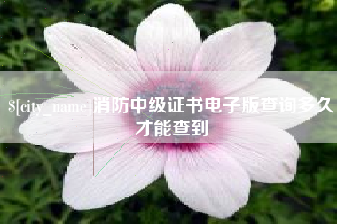 益阳消防中级证书电子版查询多久才能查到