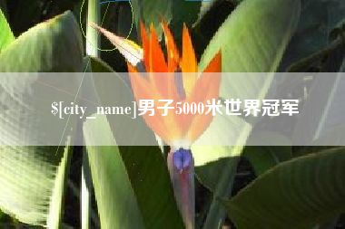 益阳男子5000米世界冠军