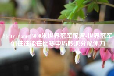 益阳5000米世界冠军配速-世界冠军们往往能在比赛中巧妙地分配体力