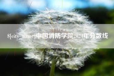 益阳中国消防学院2024年分数线
