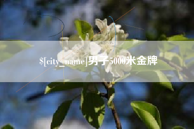 益阳男子5000米金牌