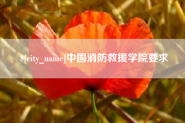 益阳中国消防救援学院要求
