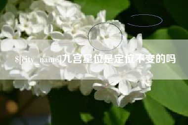 益阳九宫星位是定位不变的吗