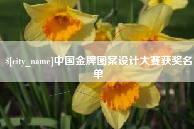 益阳中国金牌图案设计大赛获奖名单