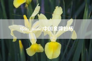 益阳中国金牌包括