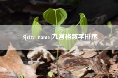 益阳九宫格数字排序