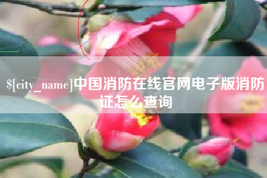 益阳中国消防在线官网电子版消防证怎么查询