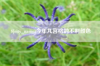 益阳今年九宫格的不利颜色