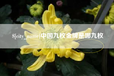 益阳中国九枚金牌是哪九枚