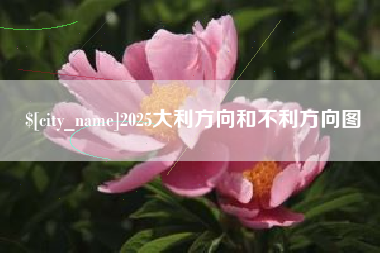 益阳2025大利方向和不利方向图