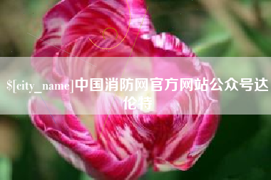 益阳中国消防网官方网站公众号达伦特