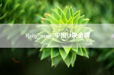 益阳中国19块金牌