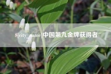 益阳中国第九金牌获得者