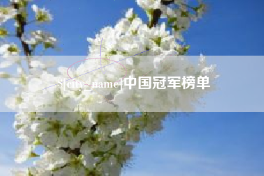 益阳中国冠军榜单