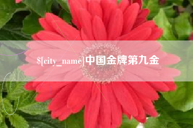 益阳中国金牌第九金